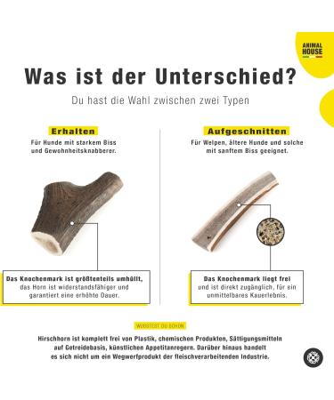 Animal House Whole Deer Antlers for Dogs | 100% Natural Chews - Durable & Mouth Hygiene - Available in All Sizes (L) - Buy Online on GoSupps.com