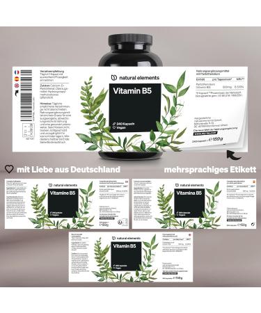 Vitamin B5 500mg Capsules - High Dose Pantothenic Acid - Vegan & Laboratory Tested - 240 Count - Made in Germany - Buy Online on GoSupps.com
