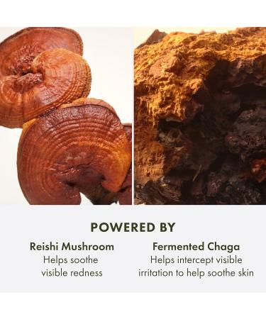 Origins Mega-Mushroom Advanced Face Serum | Reduces Visible Redness & Strengthens Skin's Barrier | With Reishi Mushroom 1.7 Fl Oz - Buy Online on GoSupps.com