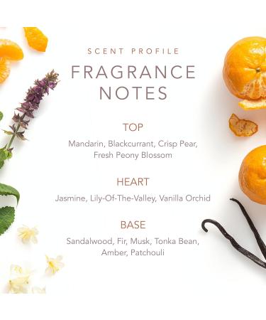 Dolly Parton Scent from Above Perfume - Eau de Parfum Roll On for Women - Floral Fruity Casual & Feminine Perfume with Notes of Mandarin Jasmine and Sandalwood - 0.34 Fl Oz - Buy Online on GoSupps.com