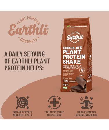 Earthli Chocolate Plant Protein Shake (940g) | Hemp Based Superfood | 20g Protein | Keto Friendly Non-GMO No Added Sugar | Vegan Plant-based Protein Powder | All-in-one Nutritional Shake - Buy Online on GoSupps.com