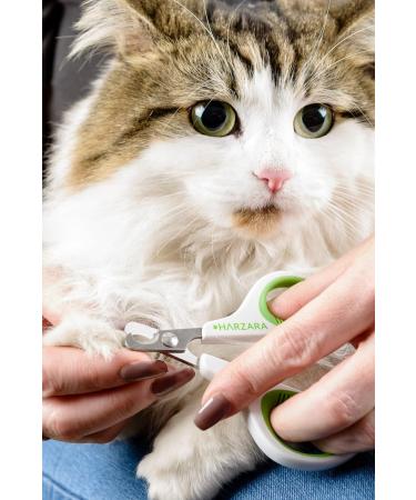 Harzara Professional Pet Nail Clippers. Best for a Cat Puppy Kitten & Small Dog. Bonus Storage Bag & Instruction Card. Great Trimmer for Grooming - Buy Online on GoSupps.com