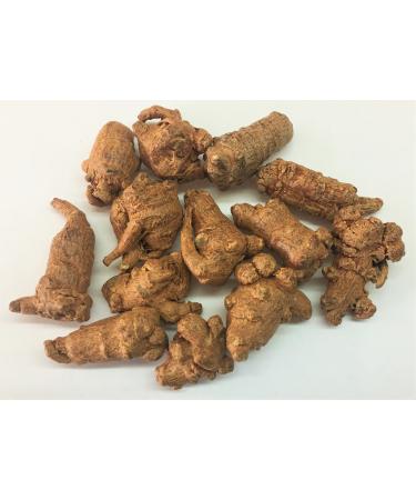 Panax Notoginseng Tian Qi (San Qi) Root Top Grade Herbs (Whole Root Medium 4oz) 1 Fl Oz (Pack of 1)