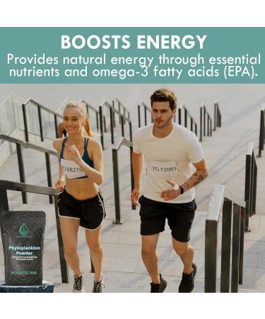 Holistic Bin Marine Phytoplankton Powder Sustainably Cultivated in Nordic Green Water Farm Nutrient-Dense Omega-3 Superfood Rich in Amino Acids Chlorophyll Vitamins & Trace Minerals 50 Grams - Buy Online on GoSupps.com