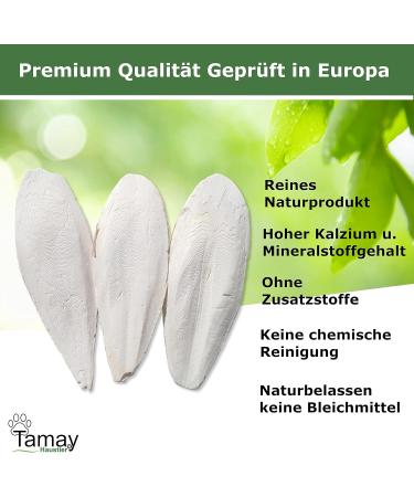 TAMY Sepiachalen Premium - 25 Pieces Sepia Bowl | 250g Reptile Turtle & Bird Food | Optimal Calcium & Vitamin Supply | Terrarium Accessories - Buy Online on GoSupps.com