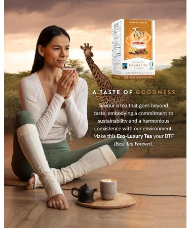 Tega Organic Masala Chai Rooibos Tea | Herbal Tea in Eco-Friendly Tea Bags Fairtrade Carbon Neutral Zero Sugar Caffeine Free 20 Individually Wrapped Tea Bags (Pack of 3) Masala Chai 20 Count (Pack of 3) - Buy Online on GoSupps.com