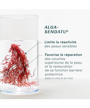  Laboratoire de Biarritz Laboratoires de Biarritz - CICA REPA Repair Cream - Certified Organic - Irritated or Reactive Skin - Face and Body - Babies Children & Adults - 100 ml - Made in France - Buy Online on GoSupps.com