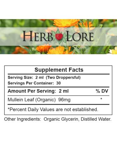 Herb Lore Mullein Tincture - Organic Mullein Drops for Lungs - Alcohol Free - 2 fl oz 2 Fl Oz (Pack of 1) - Buy Online on GoSupps.com