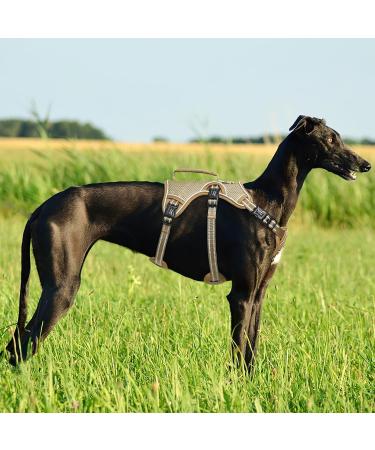 Buy Heele XL Brown Dog Harness - Breakout Buckle Reflective Robust Handle & Panic Clip | Comfortable Fit for Large Dogs - Buy Online on GoSupps.com