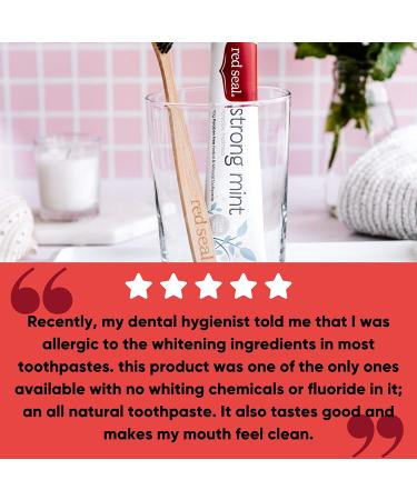 Red Seal Strong Mint Toothpaste - Extra Strong Mint Flavor with Dolomite Powder for Fresh Breath and Stain Removal - No Fluoride, Preservatives, Artificial Flavors or Colors - Single Pack - Buy Online on GoSupps.com