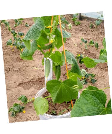 CAXUSD 4pcs Styling Stereotypes Accessories Growing Chocolate Pentagram Vessel and Growth Candy X - Buy Online on GoSupps.com