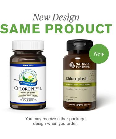 Nature's Sunshine Chlorophyll Softgel Capsules - 60 Count | Pure & Natural Supplement - Buy Online on GoSupps.com