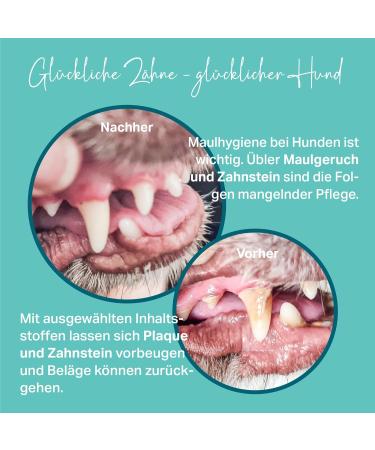 MEDIDOG Dental YUM 300g Dental Care Granules for Dogs | Bad Breath & Tartar Control | Fresh Breath & Chewing Fun - Buy Online on GoSupps.com