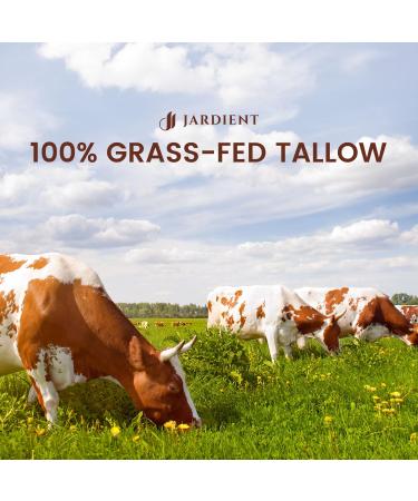 Jardient Beef Tallow Honey Balm for Skin: 100% Grass-Fed Beef Tallow Moisturizer For Face and Body - Organic Moisturizer Cream with Olive Oil Manuka Honey for Eczema and Dry Skin 2OZ - Buy Online on GoSupps.com