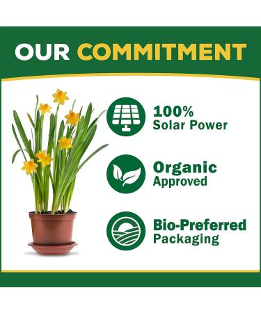 Espoma Organic Berry-Tone 4-3-4 Fertilizer & Plant Food - 4 Lb Bag for All Berries - Promote Bountiful Harvest - Pack of 2 - Ship Internationally - Buy Online on GoSupps.com