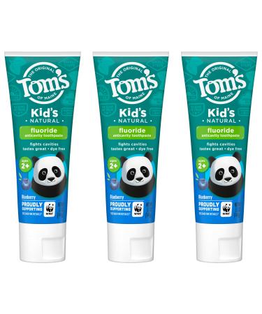 Tom's of Maine Kids Toothpaste, Blueberry, Fluoride, Natural, Children, Dye Free, 2+ years, ADA Approved, 5.1 oz. 3-Pack Blueberry 5.1 Ounce 3-Pack