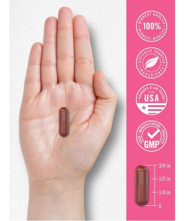 Carlyle Vaginal Probiotics for Women | 60 Capsules | with Prebiotics | Supports Healthy Odor pH Yeast Balance and Flora | Vegan Non-GMO Gluten Free | for Her - Buy Online on GoSupps.com