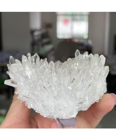 Very Beautiful Natural Clear Quartz Minerals Reiki Stone Home Furnishing Decoration (Size : 200-300g) Natural Luster (Size : 300-400g) - Buy Online on GoSupps.com