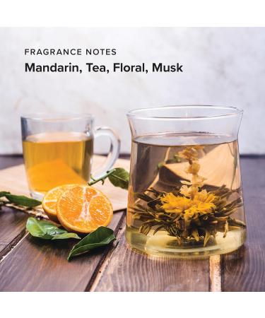 Hotel Emporium 1 Gallon Bulk Shampoo Refill - 100% Cruelty-Free White Tea Scent for All Hair Types | Essential Guest Bathroom Supplies for Hotels Motels & Gyms - Buy Online on GoSupps.com