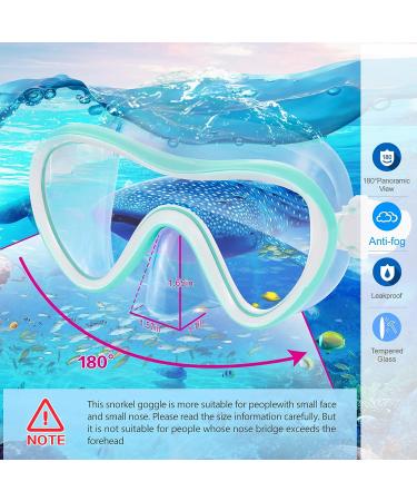 Supertrip 2023 Snorkeling Gear Set - Anti-Fog Tempered Glass Mask for Adults in Lake Blue - Buy Online on GoSupps.com