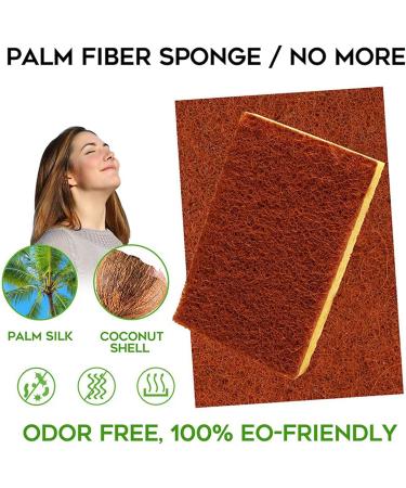 Pteanecay 32 Pack Biodegradable and Compostable Sponges Scouring Pad Palm Fiber Eco-Friendly Sponge for Kitchen Dishes Cleaning - Buy Online on GoSupps.com