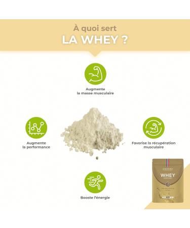 Premium Vanilla Whey Protein Isolate - 26g Protein per Serving for Muscle Building & Performance | International Shipping Available - Buy Online on GoSupps.com