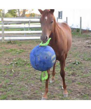 Signature Horsemen's Pride 14-Inch Horse Jolly Tug Blue one size - Buy Online on GoSupps.com