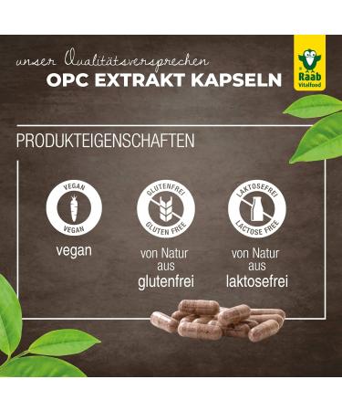 Raab Vitalfood OPC Extract Capsules - 90 Vegan & Gluten-Free Grape Seed Oligomeric Proanthocyanidins for Optimal Health - Buy Online on GoSupps.com