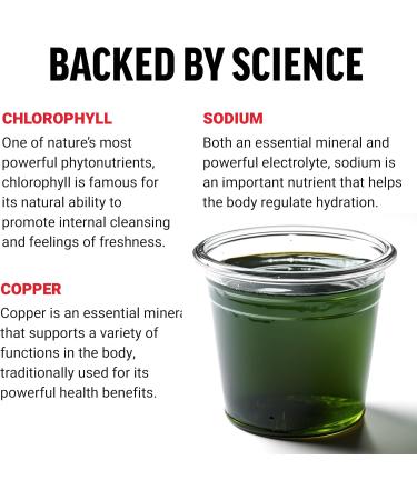 FORCE FACTOR Chlorophyll Liquid Body Deodorizing Supplement Freshens Breath and Body Naturally Made with No Artificial Sweeteners or Colors Non-GMO Natural Mint Flavor 16 oz. - Buy Online on GoSupps.com