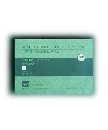 BAOHONG Academy Grade Watercolor Block, 100% Cotton, Acid-Free, 140LB/300GSM, Cold Press Textured, 20 Sheets per Block (Cold Press 7"X10.2)