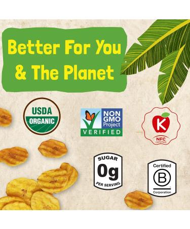 Barnana Organic Plantain Crisps Variety Pack - Sea Salt + Garlic, 100% Coconut Oil, Zero Sugar, Paleo Vegan, USDA Organic - 4oz 6-Pack - Buy Online on GoSupps.com