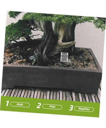 BESPORTBLE 5pcs Pet Water Feeder Ants Water Feeding Bowl Ants Drinking Tool Insect Feeder Ants Feeder Plastic - Buy Online on GoSupps.com