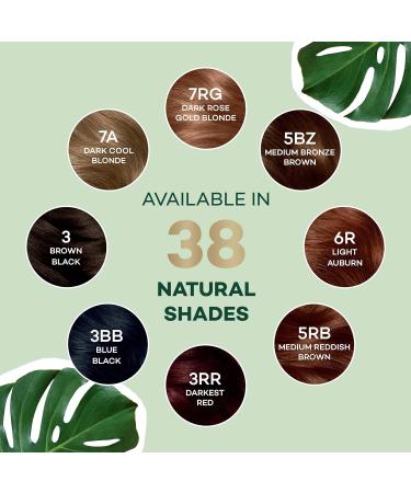 Clairol Natural Instincts Demi-Permanent Hair Dye 2 Black 5.85 Fl Oz - Pack of 3 - Buy Online on GoSupps.com