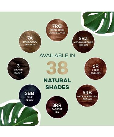 Clairol Natural Instincts Demi-Permanent Hair Dye 8G Medium Golden Blonde 3-Pack - 5.85 Fl Oz - Buy Online on GoSupps.com