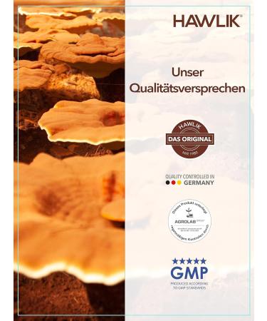 HAWLIK Medicinal Mushrooms Cordyceps Powder Capsules - 250 Vegan Capsules - 500 mg - Premium Quality - International Shipping Available - Buy Online on GoSupps.com