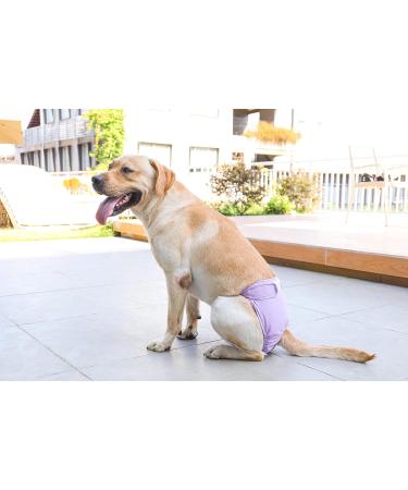 Petmia Washable Diapers for Dogs | Hygiene Underpants for Dogs in Heat | 5 Sizes XS to XL | 3-Pack Beige Black Purple - Buy Online on GoSupps.com