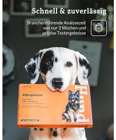 Vetevo Dog Allergy Test - 150+ Intolerances Saliva Sample for Itching & Digestive Issues - Test Winner - Buy Online on GoSupps.com