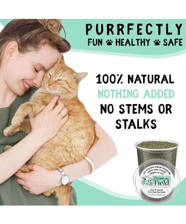From The Field Catnip Kitty Safe Stalkless Tub 10 oz - Premium Organic Catnip for Endless Fun - Buy Online on GoSupps.com