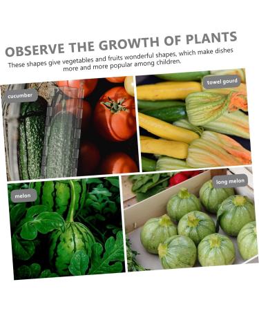 SUPVOX 1pc Plastic Stereotype Star Shaped Planting Growing Molds Forming Shaping Fruit Growth Supply Tool - Buy Online on GoSupps.com
