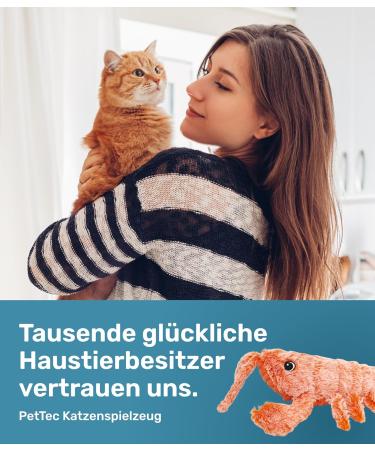 Pettec Interactive Cat Toy - Electric Movable Lobster with Catnip | Self-Employment & Automatic Play for Cats - Buy Online on GoSupps.com