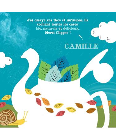 CLIPPER - Organic Mint Green Tea - Marrakech - Fair Trade - 20 Organic Tea Bags - 1 pack - Buy Online on GoSupps.com