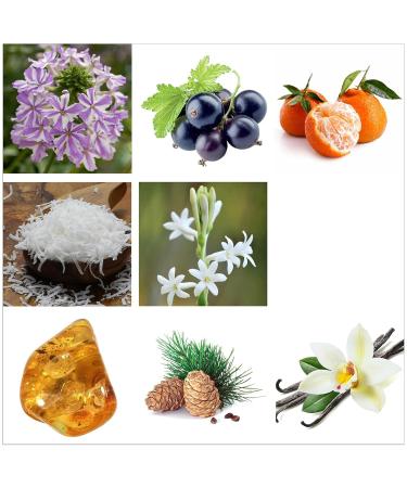 Rachel Zoe Fearless Eau De Parfum Spray - Gourmand Fragrance Body Spray for Women - Vanilla And Tuberose Musk - Designer Womens Perfume - 3.4 oz Fearless 3.4 Fl Oz (Pack of 1) - Buy Online on GoSupps.com