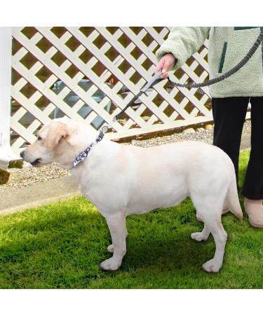 Yithome Dog Leash with Seat Belt Snaps | Training Leash for Small Medium & Large Dogs | 2 Traffic Handles & Carabiner Hooks | Blue Nylon Rope - Buy Online on GoSupps.com