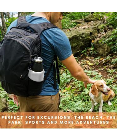 Miracle Pets 1L Stainless Steel Dog Drinking Bottle & Food Bowl - BPA-Free On-the-Go Puppy Accessories with Cleaning Brush - Buy Online on GoSupps.com