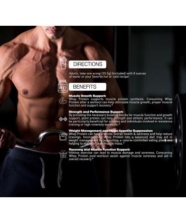 Katana Nutrition Whey Protein Powder - Vanilla Flavor | 26g Protein | 24 Servings | Gluten Free Non-GMO Lactose Free | Premium Quality eCommerce International Shipping - Buy Online on GoSupps.com