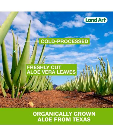 Pure Aloe Vera Juice Unflavoured 500 ml - Cold-Processed from Organic Fresh Leaves for Intestinal Issues Made In Canada (Pack of 2) 500 ml (Pack of 2) - Buy Online on GoSupps.com