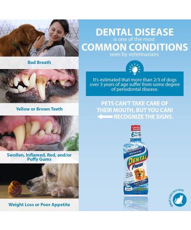 Dental Fresh Advanced Whitening Water Additive for Dogs - 17 oz | Teeth Cleaning Formula - Reduce Stains, Reverse Discoloration, Eliminate Bad Breath, Improve Oral Health - Buy Online on GoSupps.com
