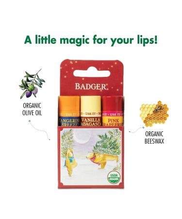 Badger Lip Balm Gift Set - 3 Pack Red Box | Nourishing .15 oz Each - Buy Online on GoSupps.com