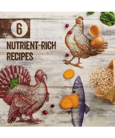 Purina Beyond Natural Wet Cat Food - Chicken & Beef in Gravy (12-Pack, 3 oz Cans) - Buy Online on GoSupps.com