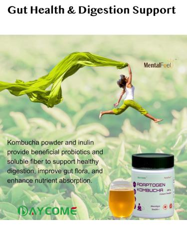 MentalFuel Adaptogen Kombucha Instant Powder - 40 Servings Sparkling Fermented Kombucha Drink with Adaptogen Blends Energy Focus Stress Relief Ashwagandha Rhodiola Reishi Ginseng and Maca Digestion & Immunity Gut-Brain Health Anti-oxidation Low Caffeine N - Buy Online on GoSupps.com